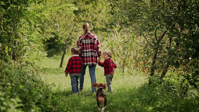 Mom walking twin boys and their dog on a wooded trail